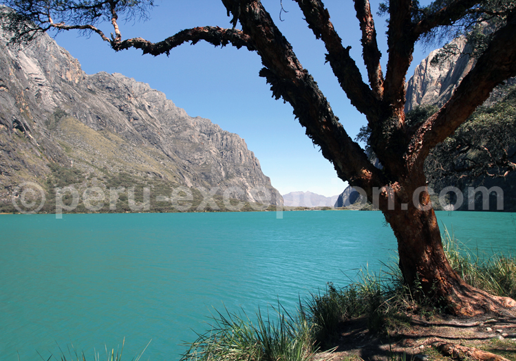 Lagune Llaganuco, Cordillère Blanche