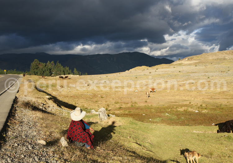 Route de Leymebamba à Cajamarca