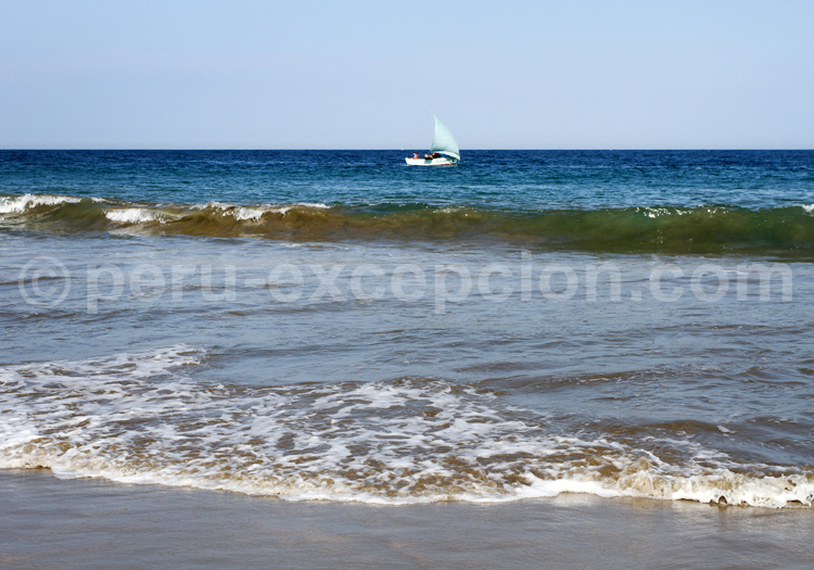 Littoral de Máncora