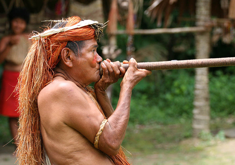 Chasseur indigène de l'Amazonie, Licence CC