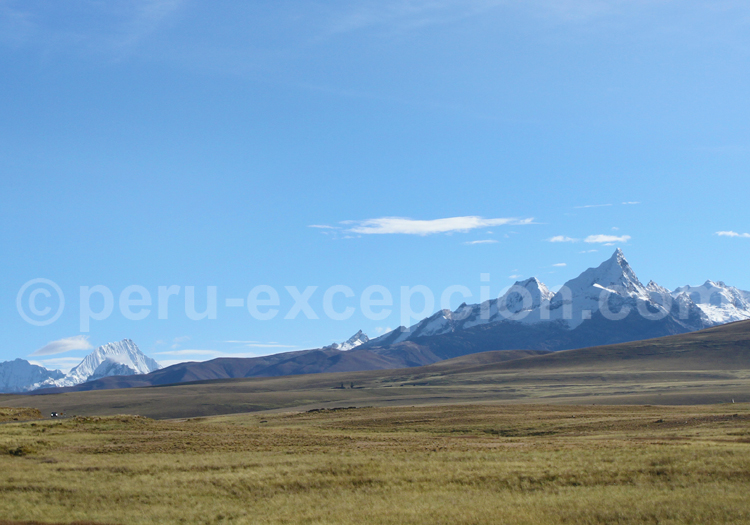 Vue sur la Cordillère blanche entre Huaraz et Chavin