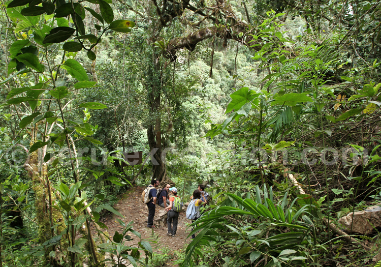 Trekking des chutes du Gocta