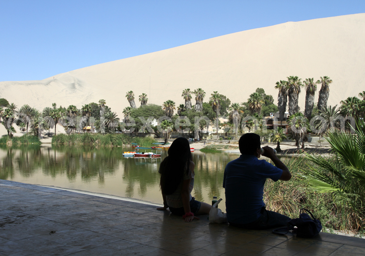 Oasis près d'Ica