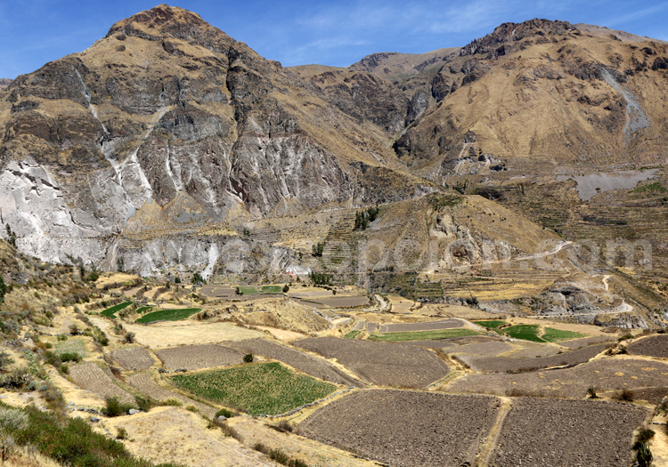 Circuit touristique au Pérou