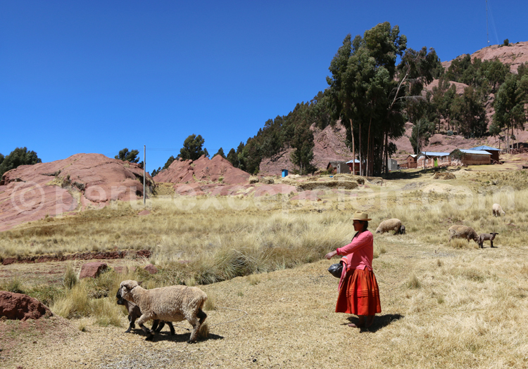 Région de Puno, Lac Titicaca