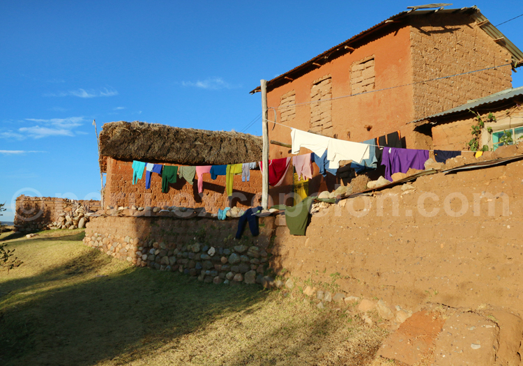 Communauté aymara Luquina Chico