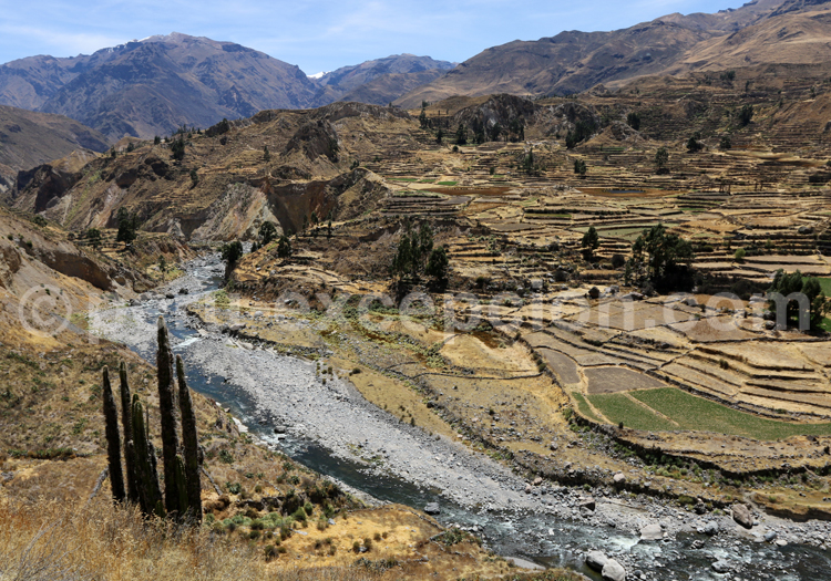 Rio Colca, Pérou