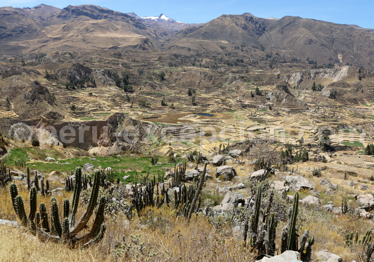 Voyage de luxe au Pérou