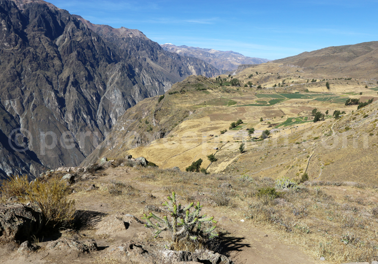 Valle de Colca, Perú