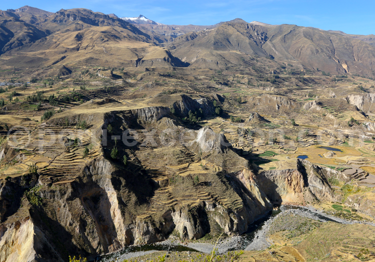 Vallée de Colca