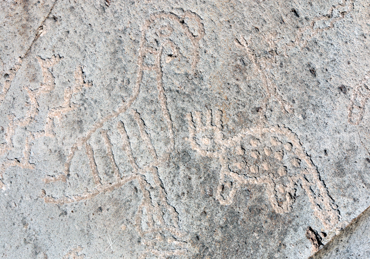 Culture Huari, civilisation précolombienne