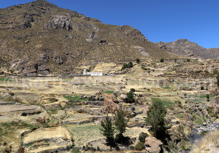 Canyon de Colca, Pérou
