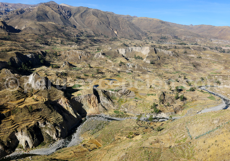 Panorama sur le canyon de Colca