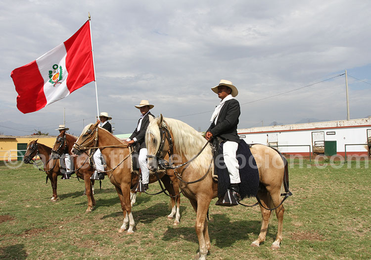 Parade de Caballo de paso