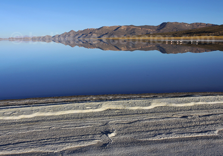 Salar Coquesa, Lipez