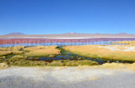 Laguna Colorada Laguna Colorada