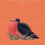 15-fregate-pacifique