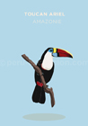 Toucan Ariel