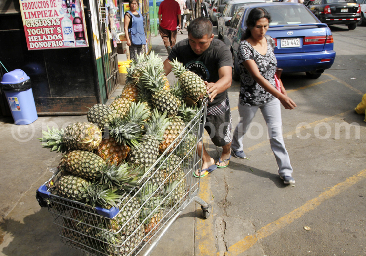 Ananas, Lima
