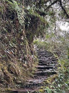 Machu Picchu, montée
