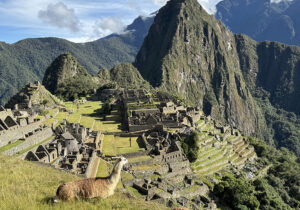 Machu Picchu, Pérou Vue panoramique en plongée de la citadelle inca de Machu Picchu au Pérou, sous un ciel bleu parsemé de nuages blancs. Au premier plan, à gauche, un lama bicolore (blanc et marron) est allongé dans l'herbe verte d'une colline, regardant vers les ruines. En arrière-plan, les structures en pierre rituelles et agricoles s'étendent sur le site, dominées par la silhouette imposante et verdoyante de la montagne Huayna Picchu. De hautes montagnes escarpées et arborées complètent le paysage en fond.