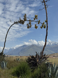 Vallée Sacrée, Pérou
